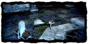 Geralt finds Ilsa