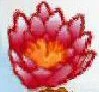 Lily.jpg (4 KB) Lily