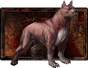 Mabari War Dogs