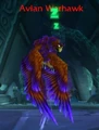 Avian Warhawk.jpg