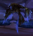Female Kaliri Hatchling.jpg