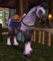 Riding White Stallion.jpg