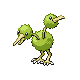 Doduo DP variocolor hembra