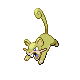 Rattata DP variocolor