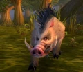 Rockhide Boar.jpg