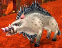 Image of Mottled Boar