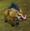 Tamed Battleboar