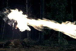 Wizardsfire.jpg
