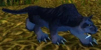 Panther