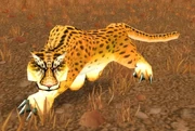 Dishu