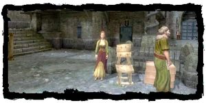 Temple Quarter herbalist