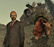 Doc Hoff at Megaton