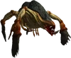 Bestiary Kikimore queen full