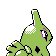 Imagen posterior de Larvitar variocolor en la segunda generación
