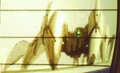 Miniatura de la versión de 02:11 16 nov 2008
