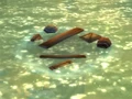 Bloodsail wreckage.png