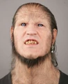 GreybackHBP.jpg