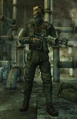 Chinese Remnant Sergeant.jpg