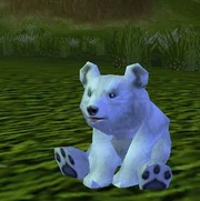 Babyblizzardbear