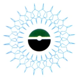 Nubian Design Collective