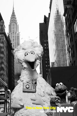 Nycgo-big-bird-elmo