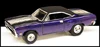 Roadrunner AGENTAIR 16.jpg