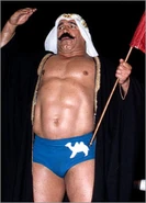 Iron-Sheik