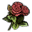 Flowers Red Rose