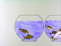 Goldfishsubtraction.jpg