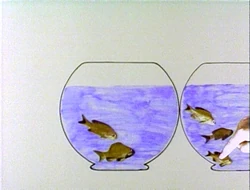 Goldfishsubtraction