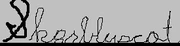 Sk8rbluscatsignature