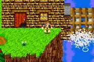 Cliff farm 5