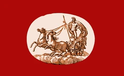 MARS Flag