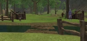 Mystic Woods.jpg