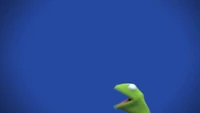Muppets-com25