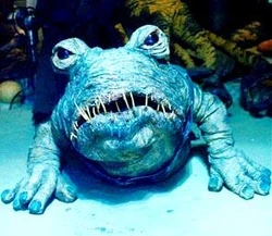 Frog-Dog.jpg