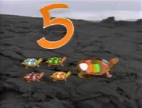 5turtles