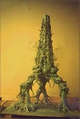 Walkingtree