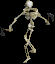 Skeleton(d1)