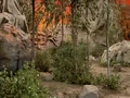 Excalbia surface.jpg