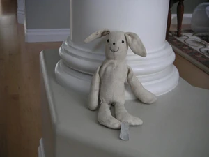 Bunny-Bunny.jpg