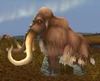 Wooly Mammoth Bull