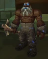 Bruor.jpg
