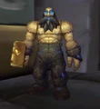 Stoneguard.jpg