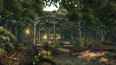 Oasis