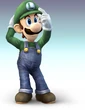 Hidden03Luigi