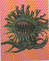 CC7Malboroenemy