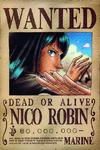 Robin-wanted.jpg