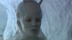 Aenar 336