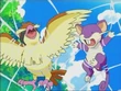 EP470 Pidgey y Rattata atrapados en la tela de araña